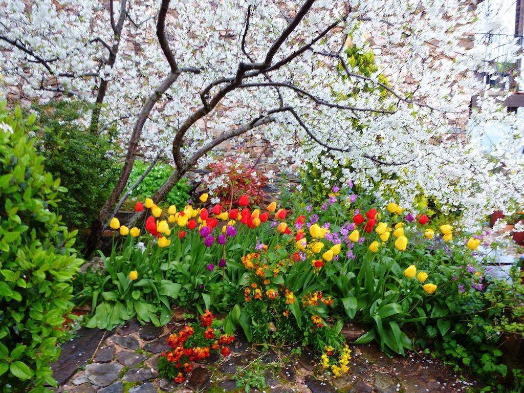 Jardines Del Robledo-Albar ξενώνας San Miguel del Robledo Εξωτερικό φωτογραφία