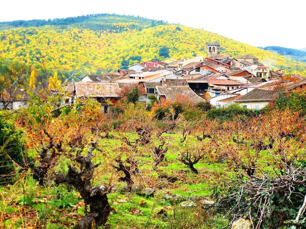 Jardines Del Robledo-Albar ξενώνας San Miguel del Robledo Εξωτερικό φωτογραφία